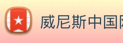 威尼斯中国网站 Logo